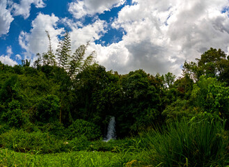 View of a waterfall hidden in a forest located in the north of Mauritius island	