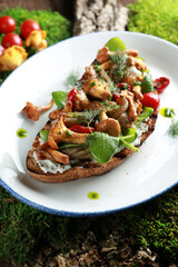 Bruschetta with fried mushrooms, chanterelles, tomatoes, fresh herbs and sour cream sauce on a white plate on green moss and wooden bark. Rustic, eco-style. Background image, copy space