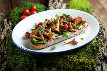 Bruschetta with fried mushrooms, chanterelles, tomatoes, fresh herbs and sour cream sauce on a white plate on green moss and wooden bark. Rustic, eco-style. Background image, copy space