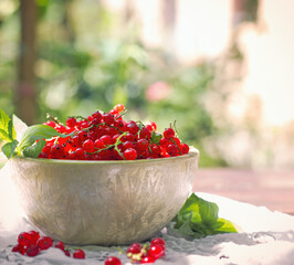 Fresh rganic currant, red currants in bowl on table outdoor