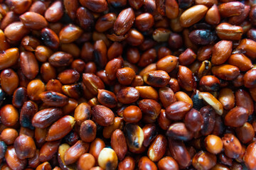 Burnt roasted peanuts in shell closeup
