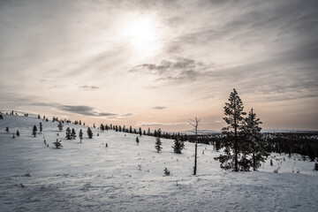 Verschneite Winterlandschaft