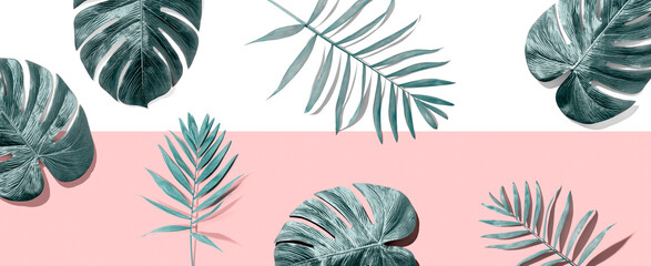 Tropical palm leaves from above - flat lay