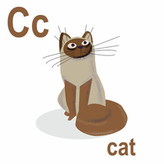 Cute cat, the ABC of children's wall art. Postcards with the alphabet. Poster with children's alphabet. The atmosphere of the game room. C is for the cat. Vector clipart, hand-drawn illustration.