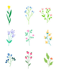 set of flowers elements / Collection of colorful floral elements in flat color / Set of spring and summer wild flowers, plants, branches, leaves and herb / Hand drawn of blossom vectors for decor