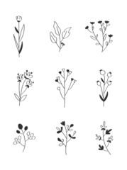 set of flower elements / Collection of black and white floral elements in flat color / Set of spring and summer wildflowers, plants, branches, leaves and herbs / Hand drawn flower vectors for decor