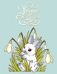 Happy Easter card, Little cute bunny, easter bunny sitting in snowdrop flowers, spring snowdrops, easter holiday, hand drawn holiday symbol, printable postcard on blue background, white bunny cartoon.