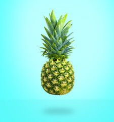 Ripe pineapple with green leaves on blue background.
