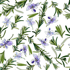 leaves, flowers, branches of rosamryn, seamless pattern green leaves, blue flowers, rosemary branches, contour dark seamless pattern on a white background,