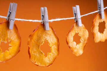 Dried persimmon weighs on a rope on an orange background
