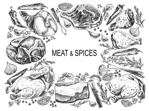 meat and spices, set of graphic images in the form of a frame meat of chicken, pork, beef, idea, tenderloin, neck, brisket, spice set, pepper, onion, garlic, peas, chopped pieces, rosemary, thyme, cil