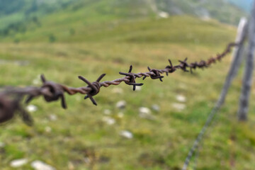 barbed wire in the mountains on a meadow as a pasture fence