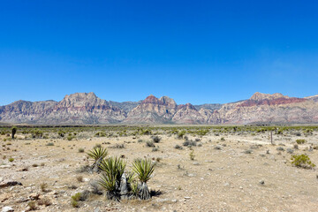 Red Rock Canyon