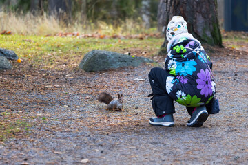 A little squirrel looks at a girl's open palm