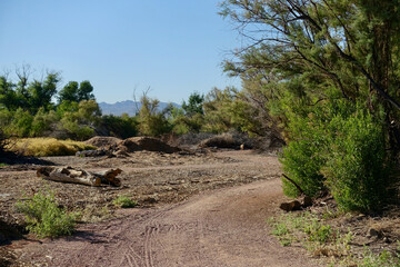 Clark County Wetlands