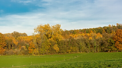 Flemish fall landscape with meadow and colorful forest near Geraardsbergen