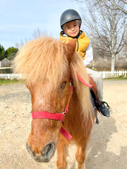 Young boy riding a horse outdoors on a sunny day, close-up. beautiful pet