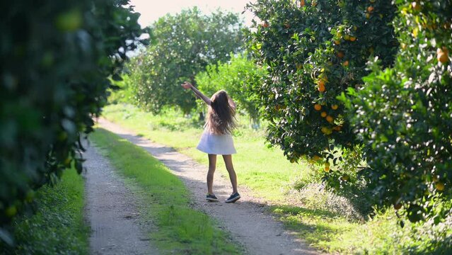 Child walks in the orange garden. A cute little girl in a white dress is playing with ripe oranges in the garden.Adorable Carefree Childhood Moment.