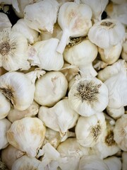 A bunch of garlic