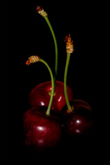Fresh, healthy and delicious sweet cherry berries on the black background.