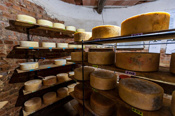Cheese in ripening cellar on familiar industry