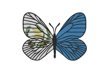 Fototapeta na wymiar Butterfly wings in color of national flag. Clip art on white background. Guatemala