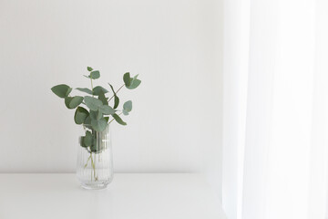 Bouquet of eucalyptus branches in glass vase standing on the table. Minimalistic home decor. White stylish interior.