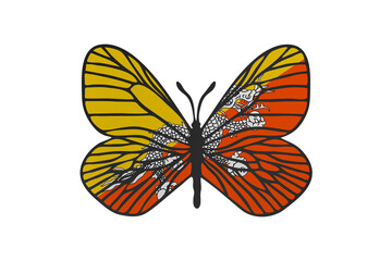 Fototapeta na wymiar Butterfly wings in color of national flag. Clip art on white background. Bhutan