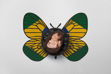 Tiny baby portrait with wings in color of national flag. Newborn photography concept. Brazil