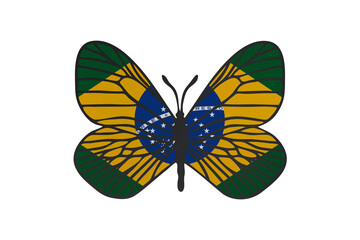 Fototapeta na wymiar Butterfly wings in color of national flag. Clip art on white background. Brazil