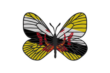 Butterfly wings in color of national flag. Clip art on white background. Brunei Darussalam