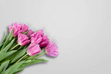 Fresh beautiful flowers on light gray table background.