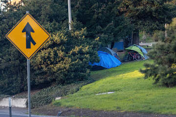 homeless dwellings or tents tarps over bushes