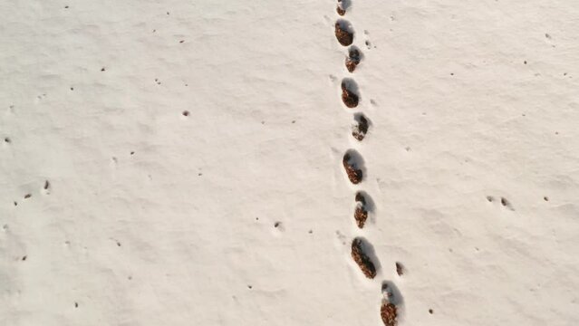 Orme di scarpe sulla neve impronte