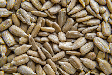 Peeled sunflower seed in a spoon sclose-up background pattern, top view  full frame  

