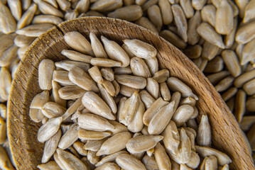 Peeled sunflower seed in a spoon sclose-up background pattern, top view  full frame  
