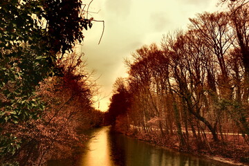 Saharastaub macht gelben Himmel am Isarkanal am 15.3.2022
