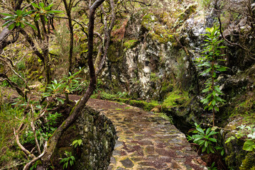 Section of the ancient 