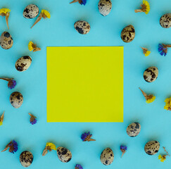 Easter composition. Quail eggs, flowers, yellow paper blank on blue background. Copy space.
