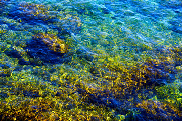 Seabed in the shallows covered with clear and blue sea water