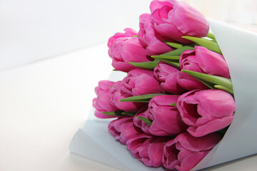 Purple tulips on a white background. Spring bouquet of purple tulips on a light background.