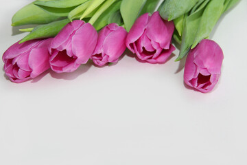 Obraz na płótnie Canvas Purple tulips on a white background. Spring bouquet of purple tulips on a light background.