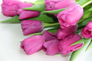 Obraz premium Purple tulips on a white background. Spring bouquet of purple tulips on a light background.