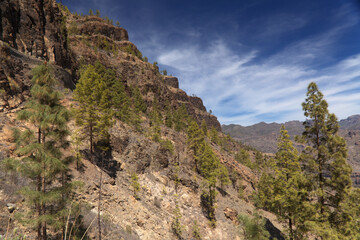Gran Canaria, landscape of the southern part of the island along Barranco de Arguineguín steep and deep ravine
with vertical rock walls, circular hiking route starting at a hamlet Barranquillo Andres
