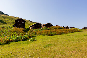 mountain landscape and old houses in pokut plateau