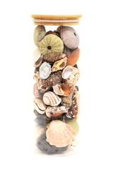 Seaside treasures - shells, seaglass and sea urchin skeletons from Atlantic ocean around Gran...