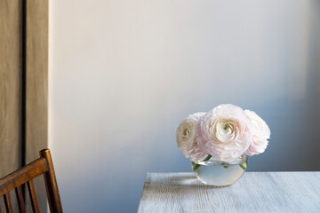 Three pale pink ranunculus in a transparent round vase on the white table. Copy space. Place for text