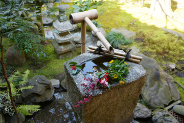 大徳寺　興臨院　中庭の手水鉢　京都市北区