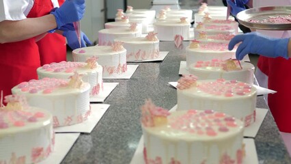 Production of confectionery products. A woman in gloves decorating a cake.Production at the factory of chocolate, sweets or cakes. Food industry. Confectionery products.Confectionery factory or bakery