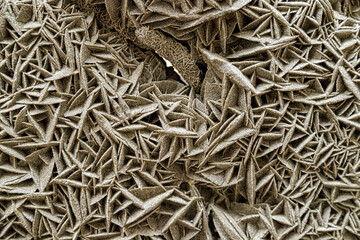 Macro closeup of a desert rose gypsum stone